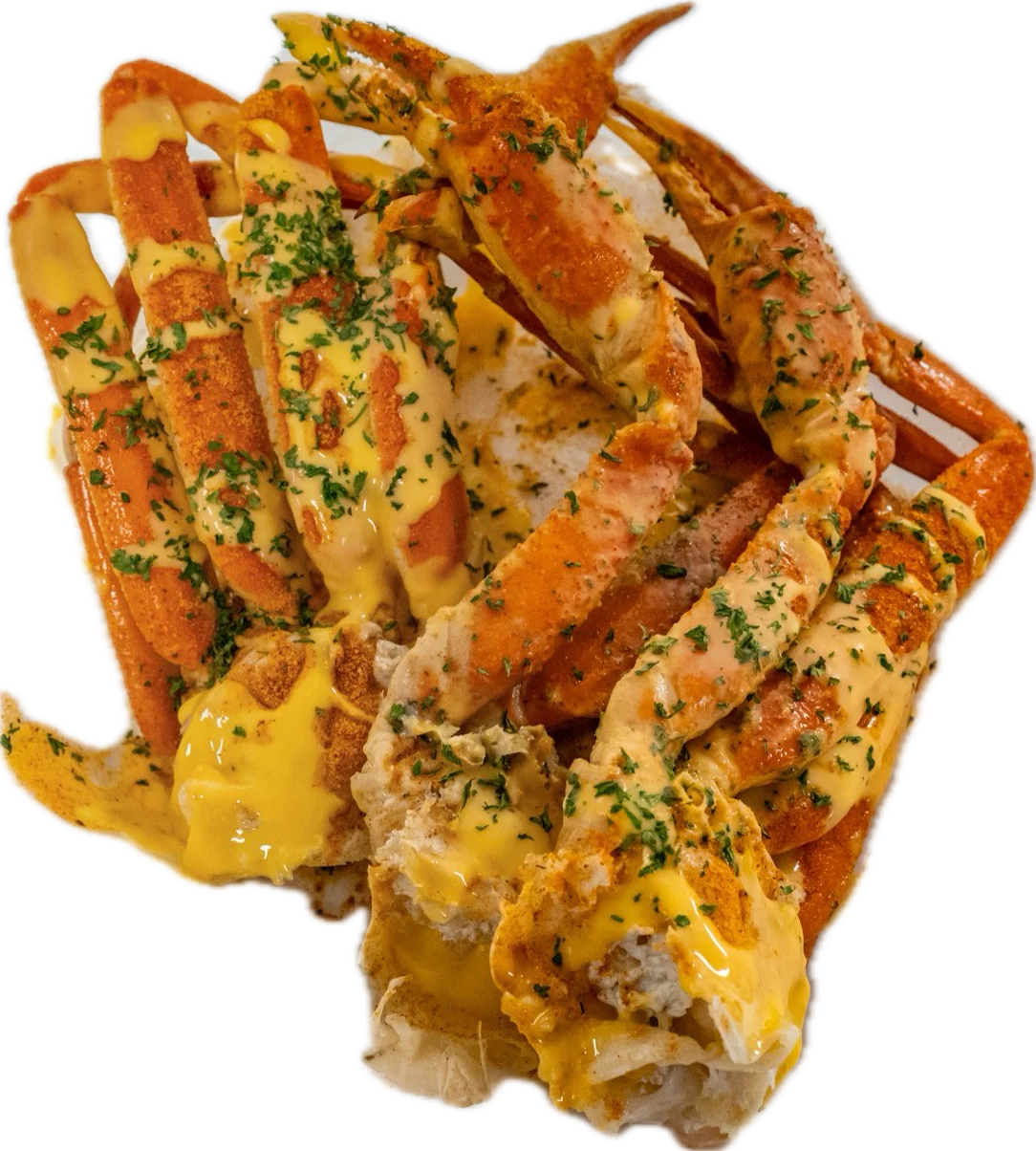 Medium Snow Crab